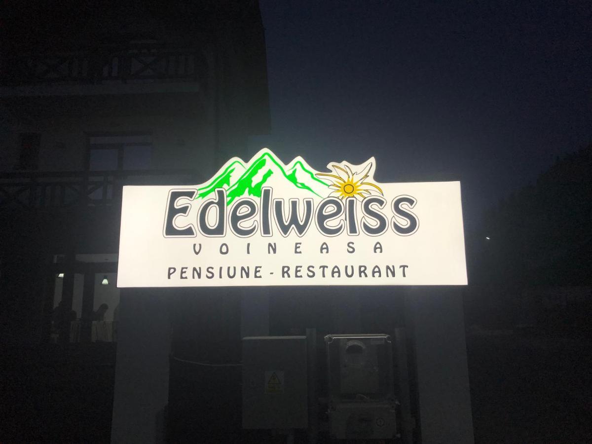 Pensiunea Edelweiss 沃伊内亚萨 外观 照片